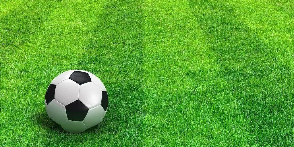 多平台下载支持